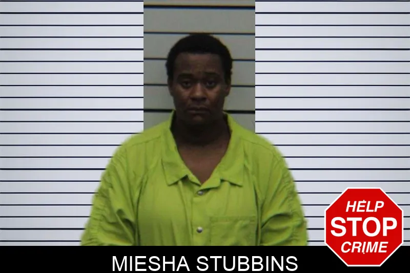 Miesha Stubbins mugshot