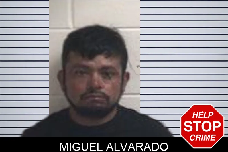 Miguel Alvarado mugshot