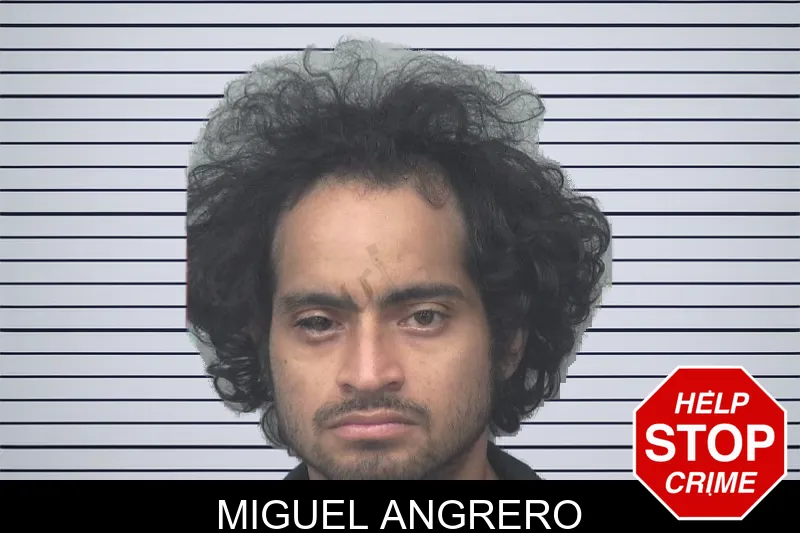 Miguel Angrero mugshot – Gwinnett County , Georgia Miguel Angrero mugshot