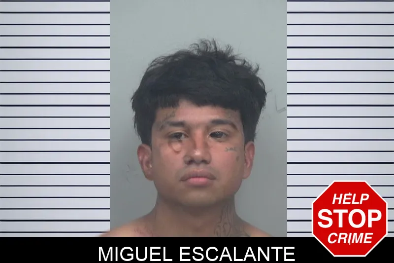 Miguel Escalante mugshot – Gwinnett County , Georgia Miguel Escalante mugshot