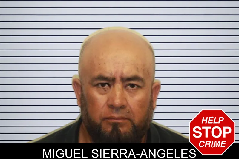 Miguel Sierra-Angeles mugshot – Chatham County , Georgia Miguel Sierra-Angeles mugshot