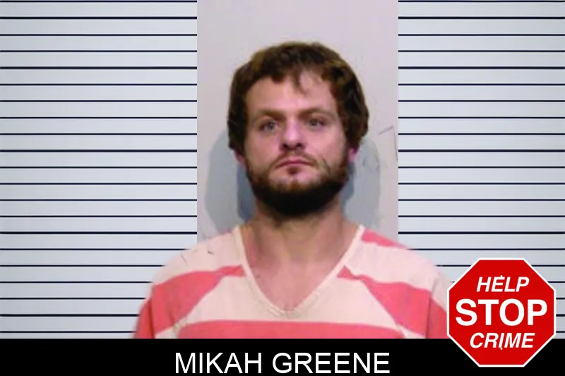 Mikah Greene mugshot – Bartow County , Georgia Mikah Greene mugshot