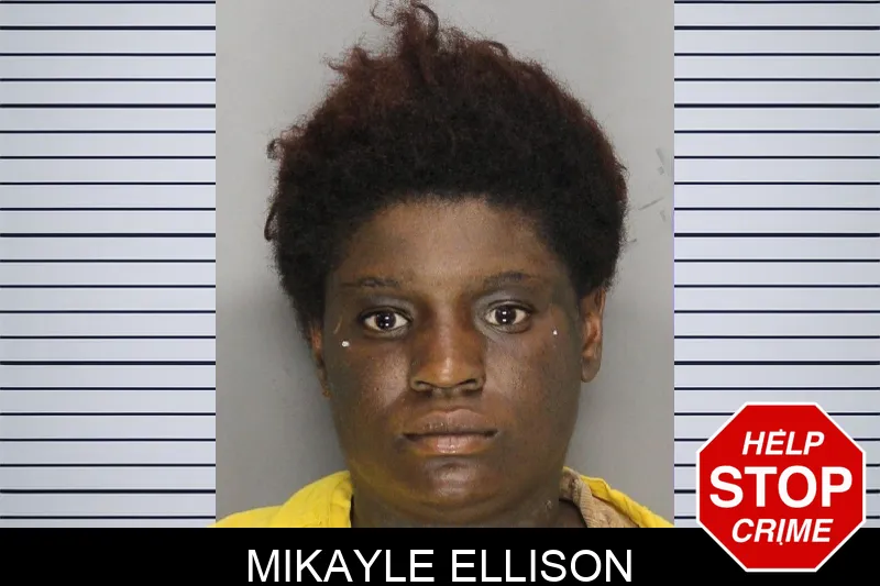 Mikayle Ellison mugshot
