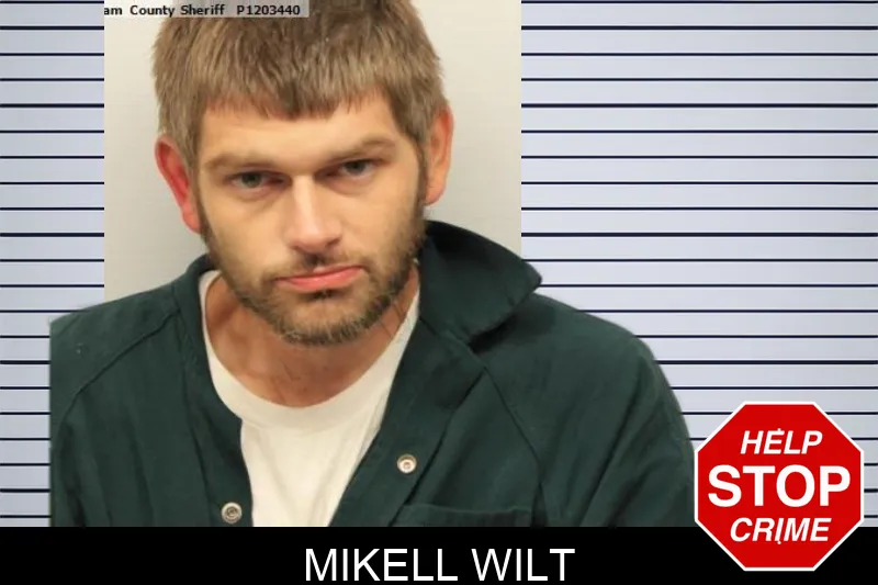 Mikell Wilt mugshot