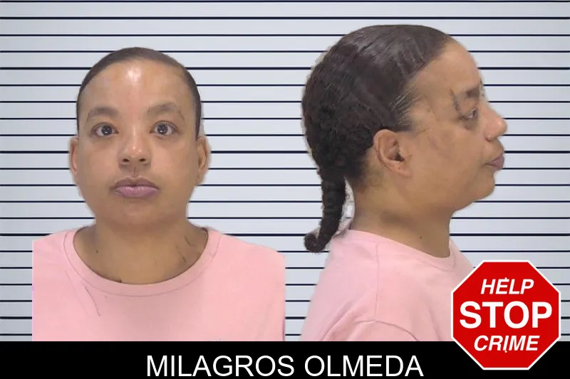 Milagros Olmeda mugshot