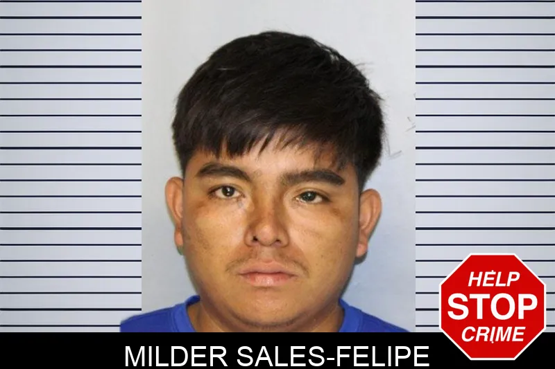 Milder Sales-Felipe mugshot