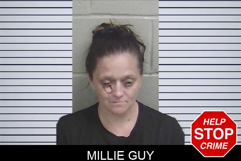 Millie Guy mugshot – Wayne County , Georgia Millie Guy mugshot