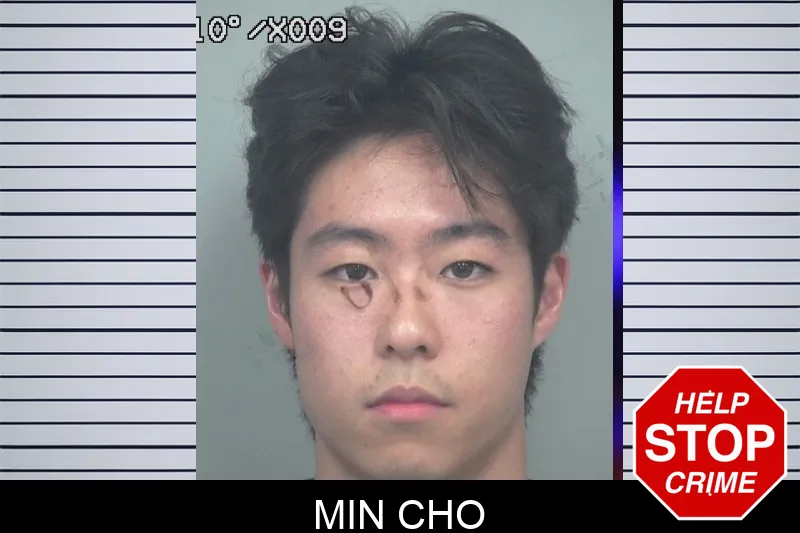Min Cho mugshot