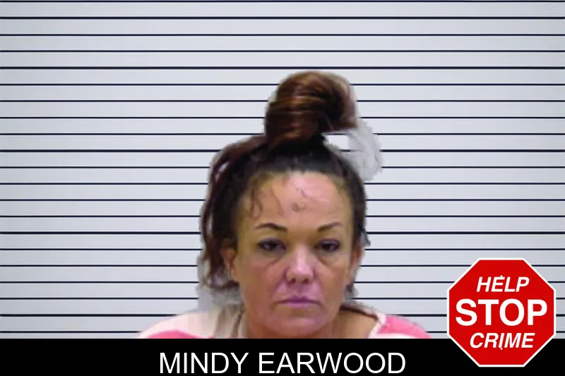 Mindy Earwood mugshot – Bartow County , Georgia Mindy Earwood mugshot