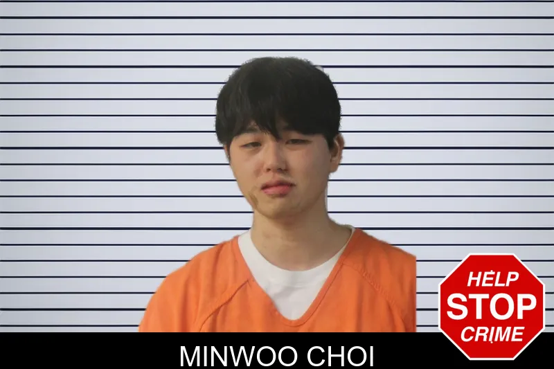 Minwoo Choi mugshot – Lumpkin County , Georgia Minwoo Choi mugshot