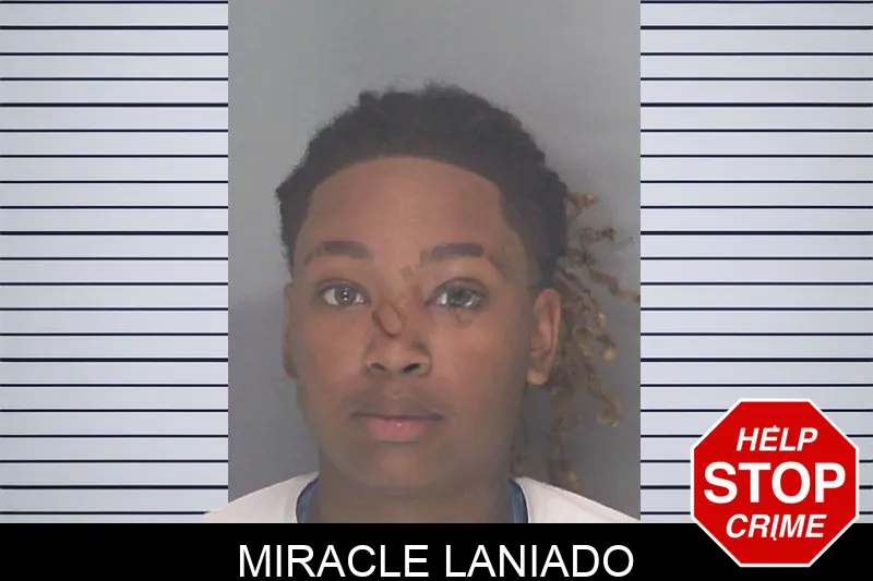 Miracle Laniado mugshot – Douglas County , Georgia Miracle Laniado mugshot