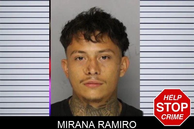 Mirana Ramiro mugshot