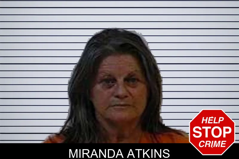 Miranda Atkins mugshot