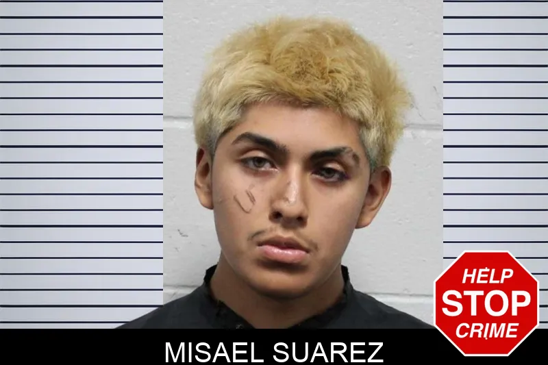 Misael Suarez mugshot