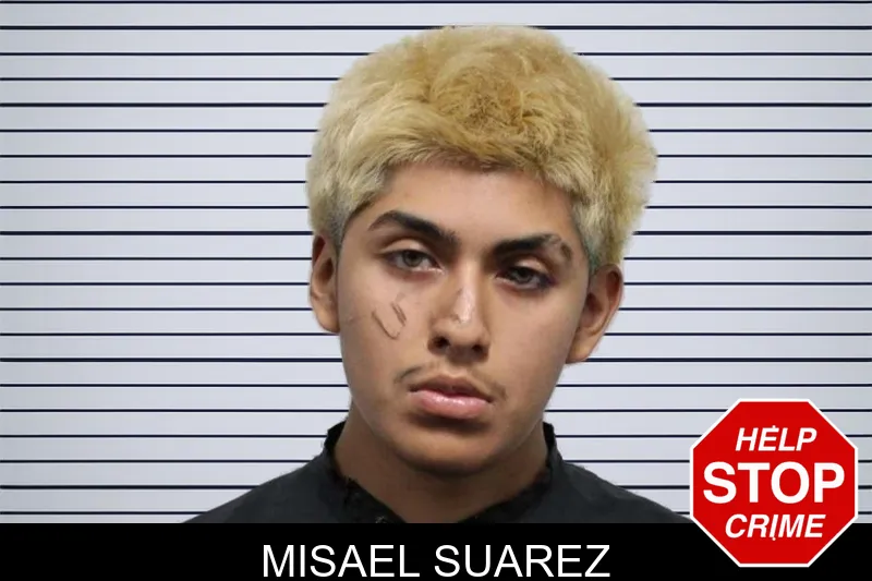 Misael Suarez mugshot