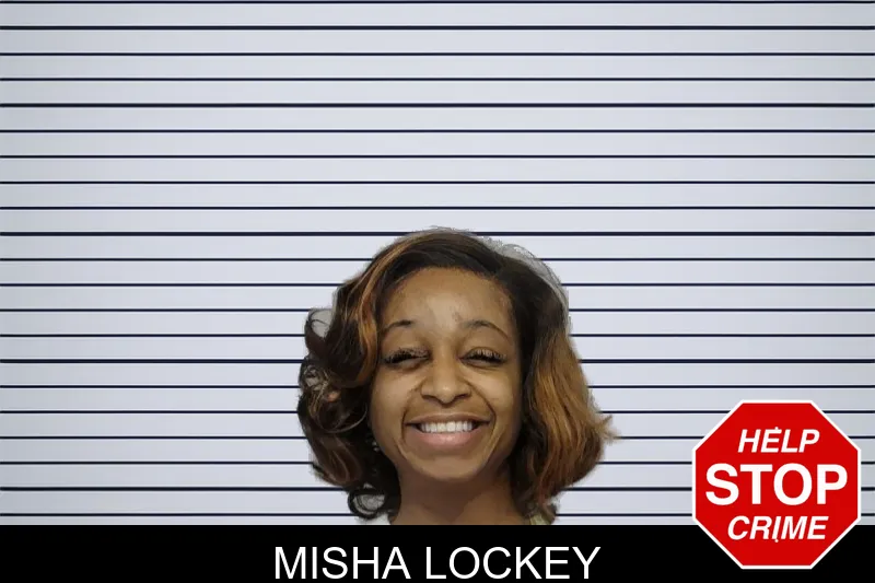Misha Lockey mugshot – Bibb County , Georgia Misha Lockey mugshot