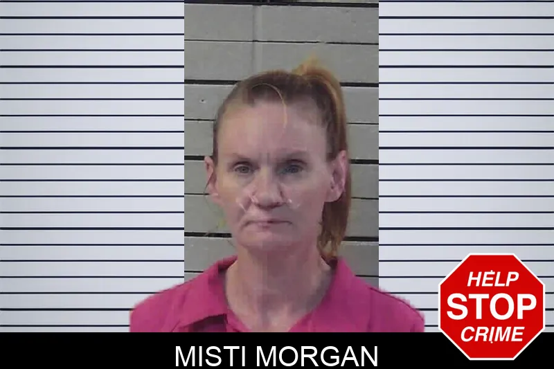 Misti Morgan mugshot