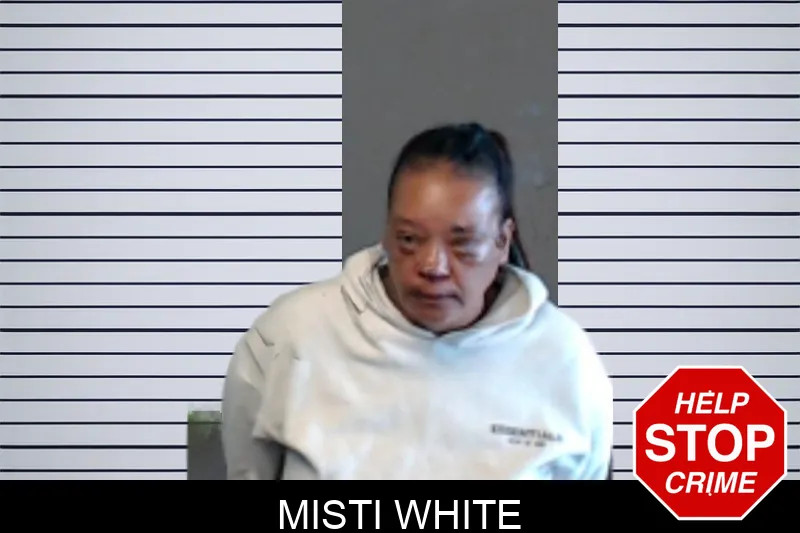 Misti White mugshot