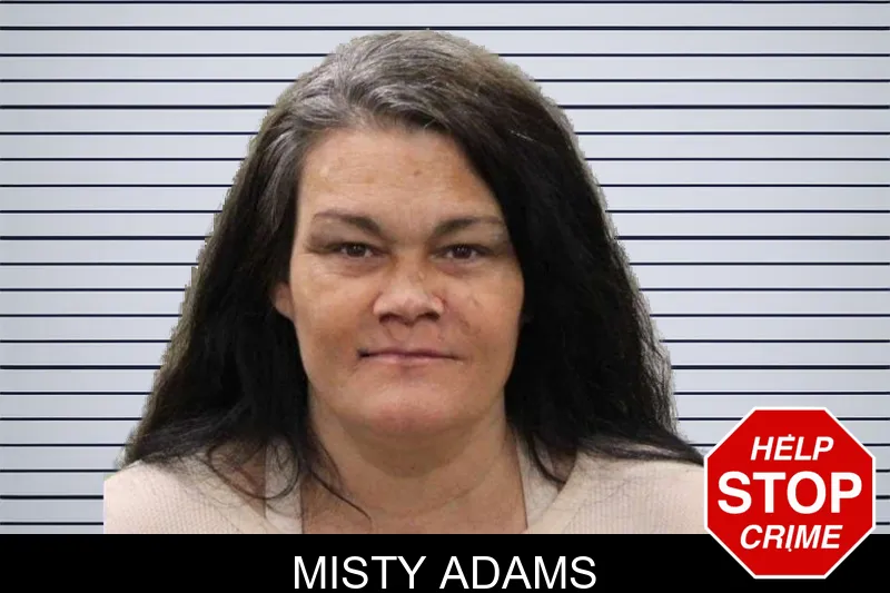 Misty Adams mugshot