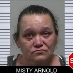 Misty Arnold mugshot