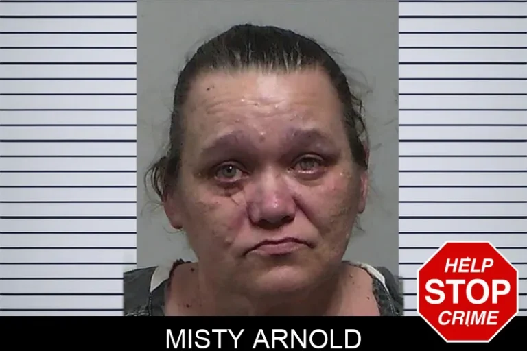 Misty Arnold mugshot – Tift County , Georgia Misty Arnold