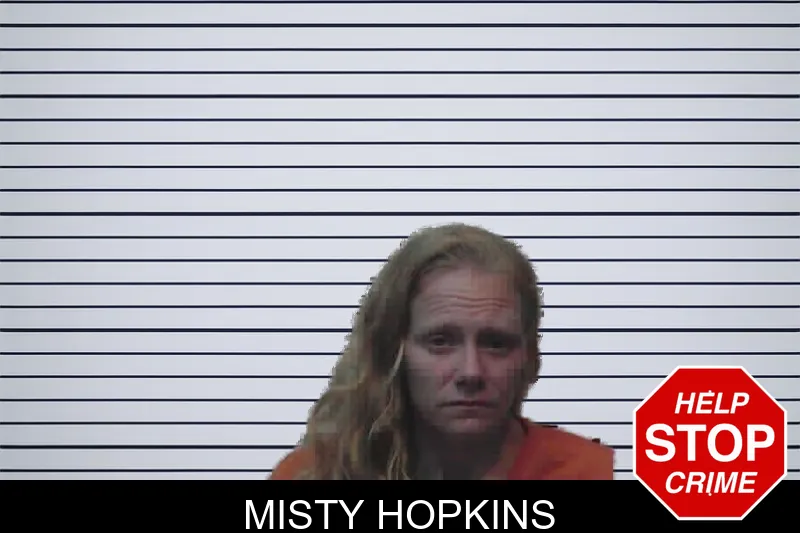 Misty Hopkins mugshot