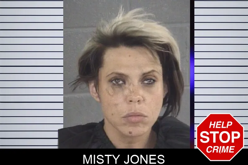 Misty Jones mugshot