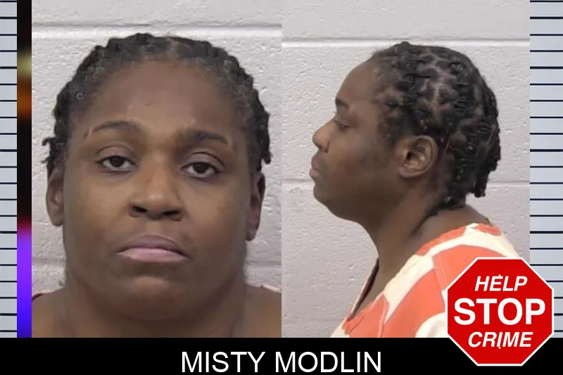 Misty Modlin mugshot