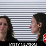Misty Newsom mugshot