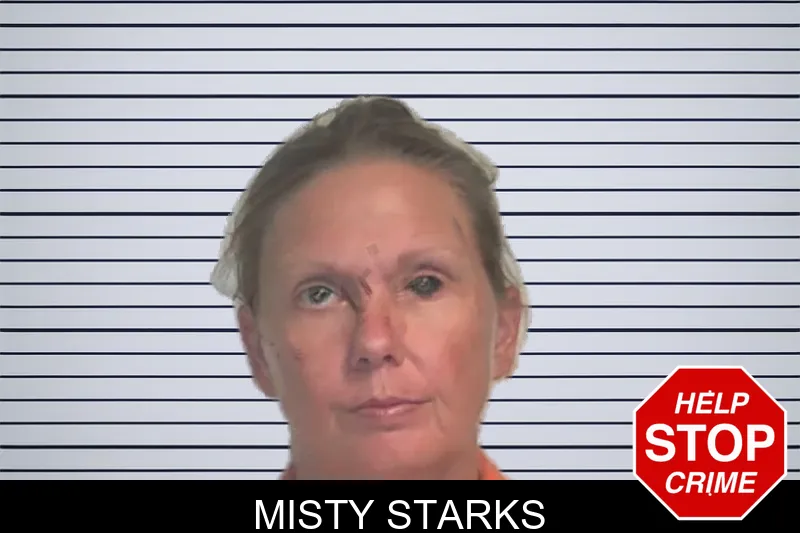 Misty Starks mugshot – Berrien County , Georgia Misty Starks mugshot