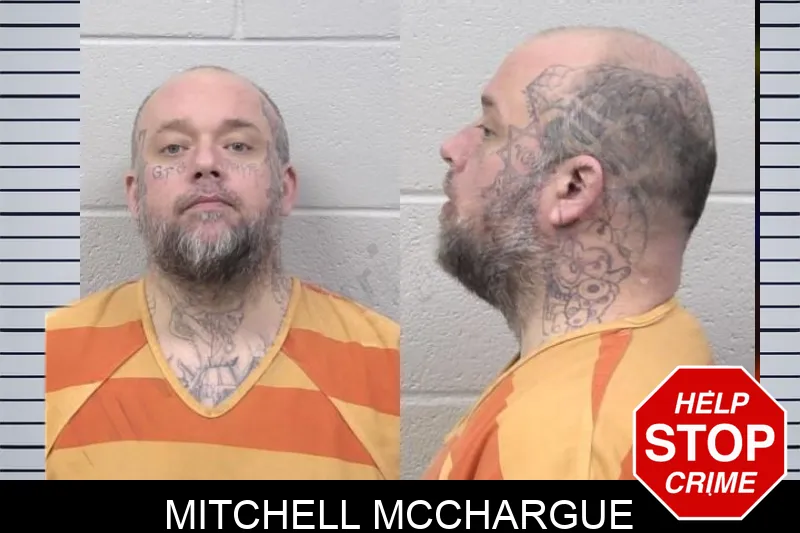 Mitchell McChargue mugshot