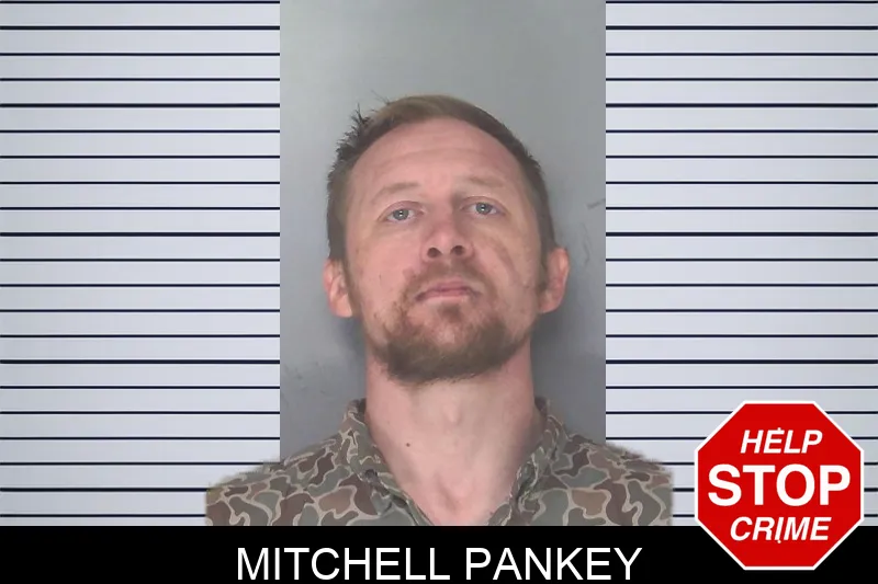 Mitchell Pankey mugshot