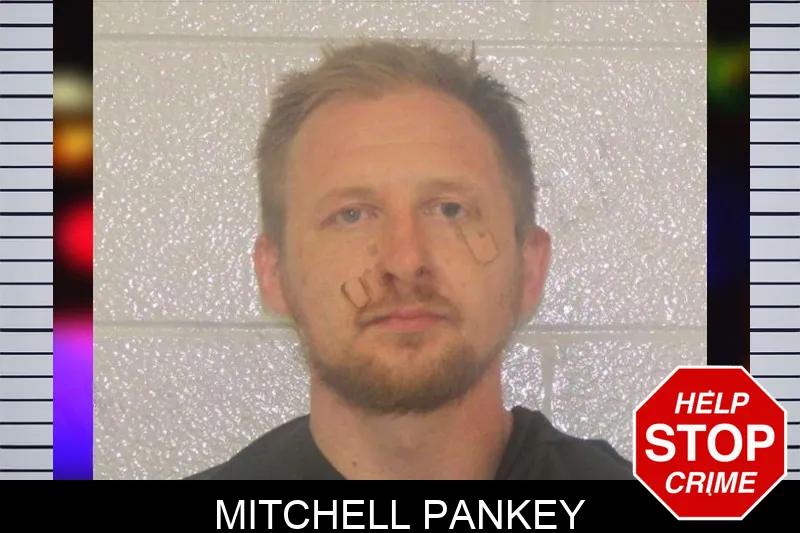 Mitchell Pankey mugshot