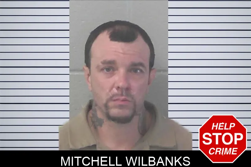 Mitchell Wilbanks mugshot