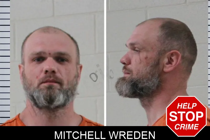 Mitchell Wreden mugshot