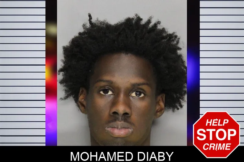 Mohamed Diaby mugshot