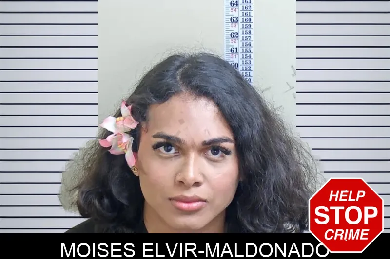 Moises Elvir-Maldonado mugshot