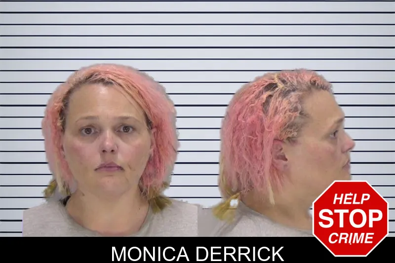 Monica Derrick mugshot