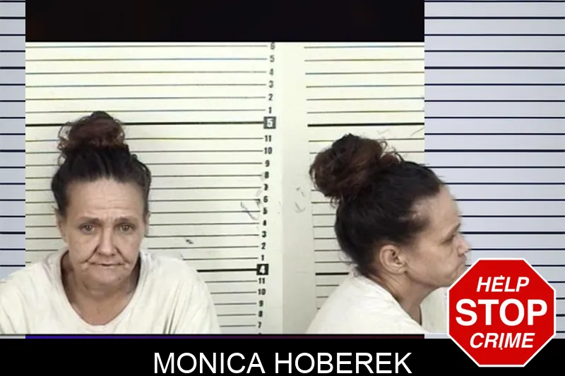 Monica Hoberek mugshot