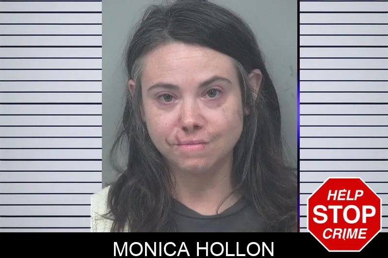 Monica Hollon mugshot