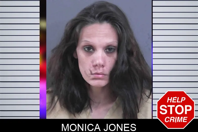 Monica Jones mugshot