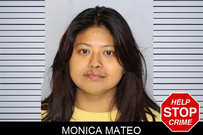 Monica Mateo mugshot – Hall County , Georgia Monica Mateo mugshot