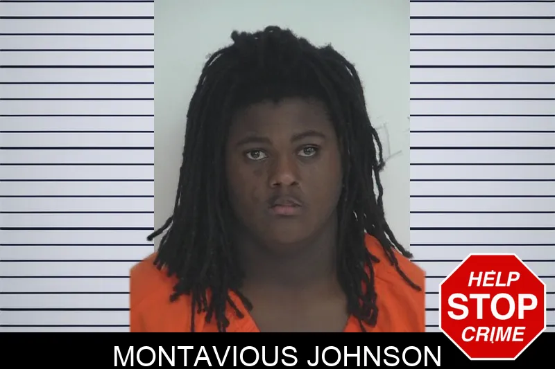 Montavious Johnson mugshot
