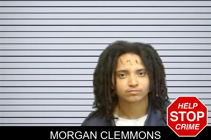 Morgan Clemmons mugshot – Fulton County , Georgia Morgan Clemmons mugshot