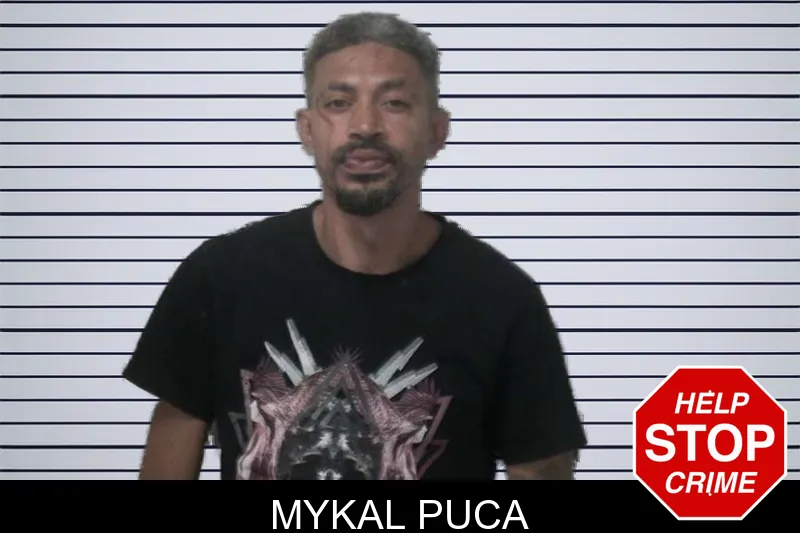 Mykal Puca mugshot