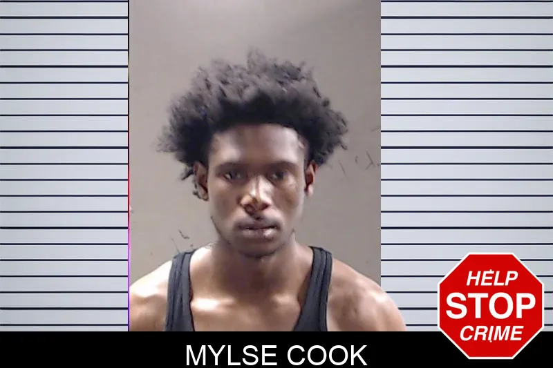 Mylse Cook mugshot
