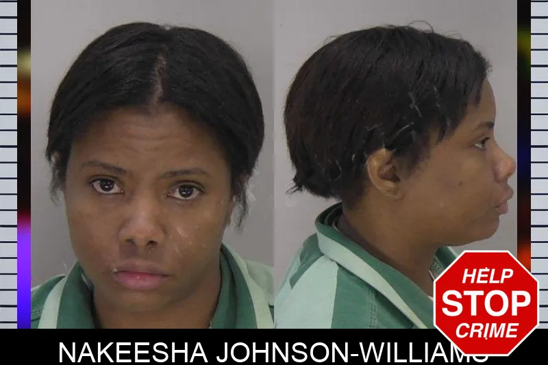 Nakeesha Johnson-Williams mugshot