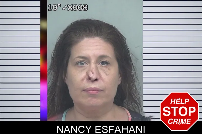 Nancy Esfahani mugshot