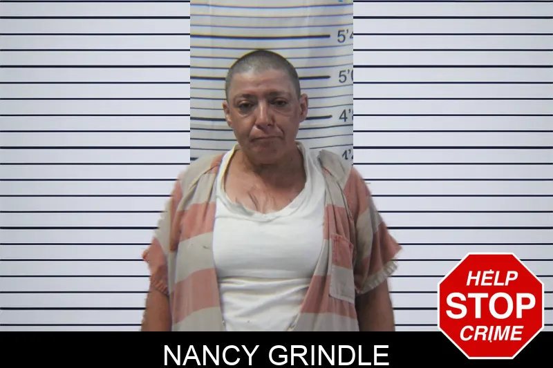 Nancy Grindle mugshot