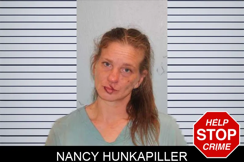 Nancy Hunkapiller mugshot – Grady County , Georgia Nancy Hunkapiller mugshot